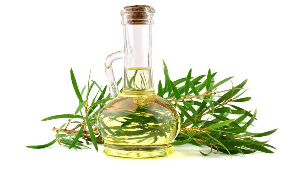 Aceite de árbore de té en fungos